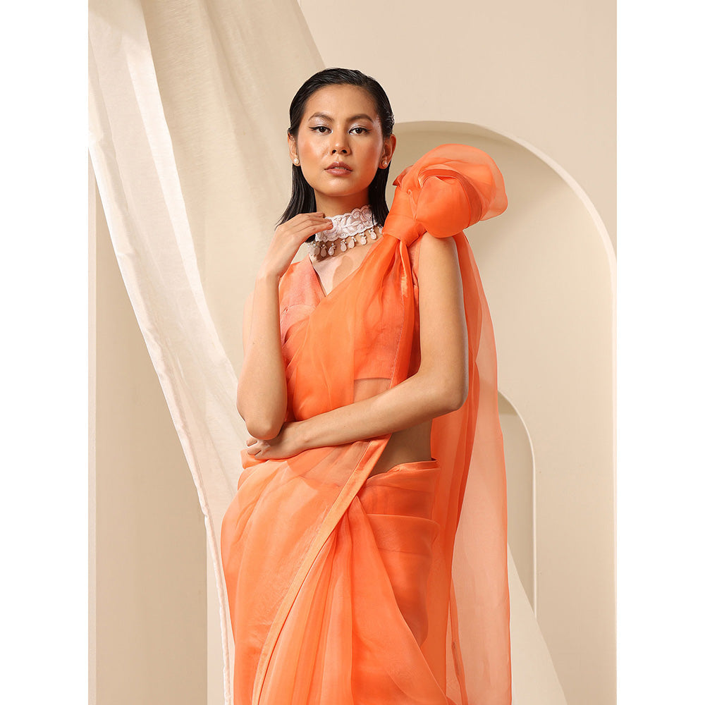 WeaverStory Fuzz Organza Blouse With V-Neck Style