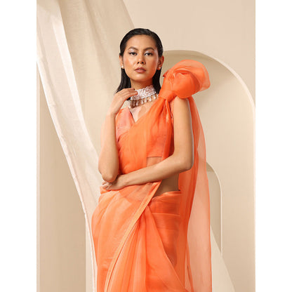 WeaverStory Fuzz Organza Blouse With V-Neck Style