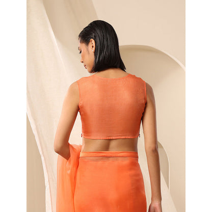 WeaverStory Fuzz Organza Blouse With V-Neck Style