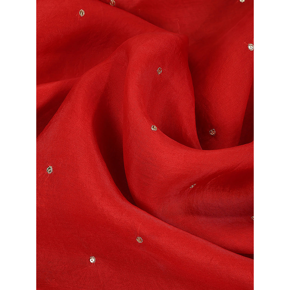WeaverStory Red Embroidered Zardozi Border Dupatta