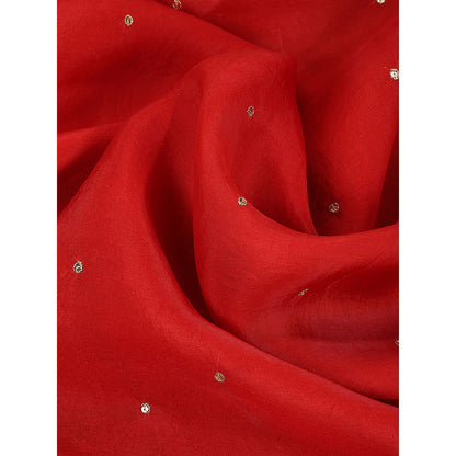 WeaverStory Red Embroidered Zardozi Border Dupatta