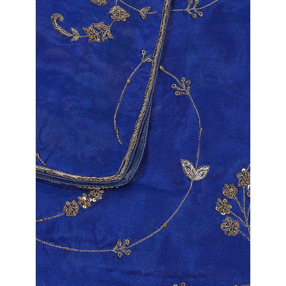 WeaverStory Blue Embroidered Zardozi Work Dupatta