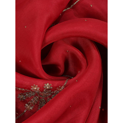 WeaverStory Red Embroidered Zardozi Dupatta