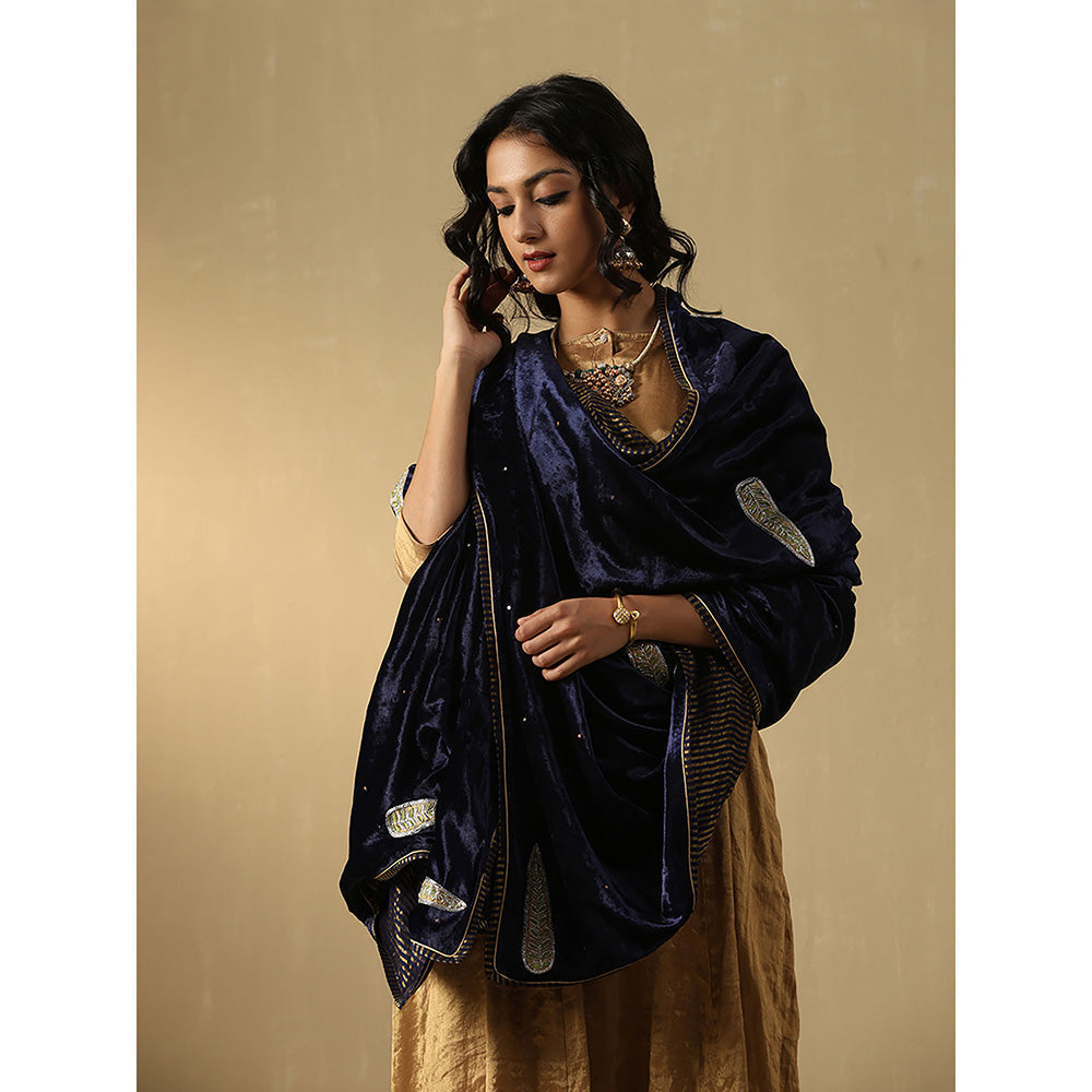 WeaverStory Navy Blue Embroidered Zardozi Dupatta