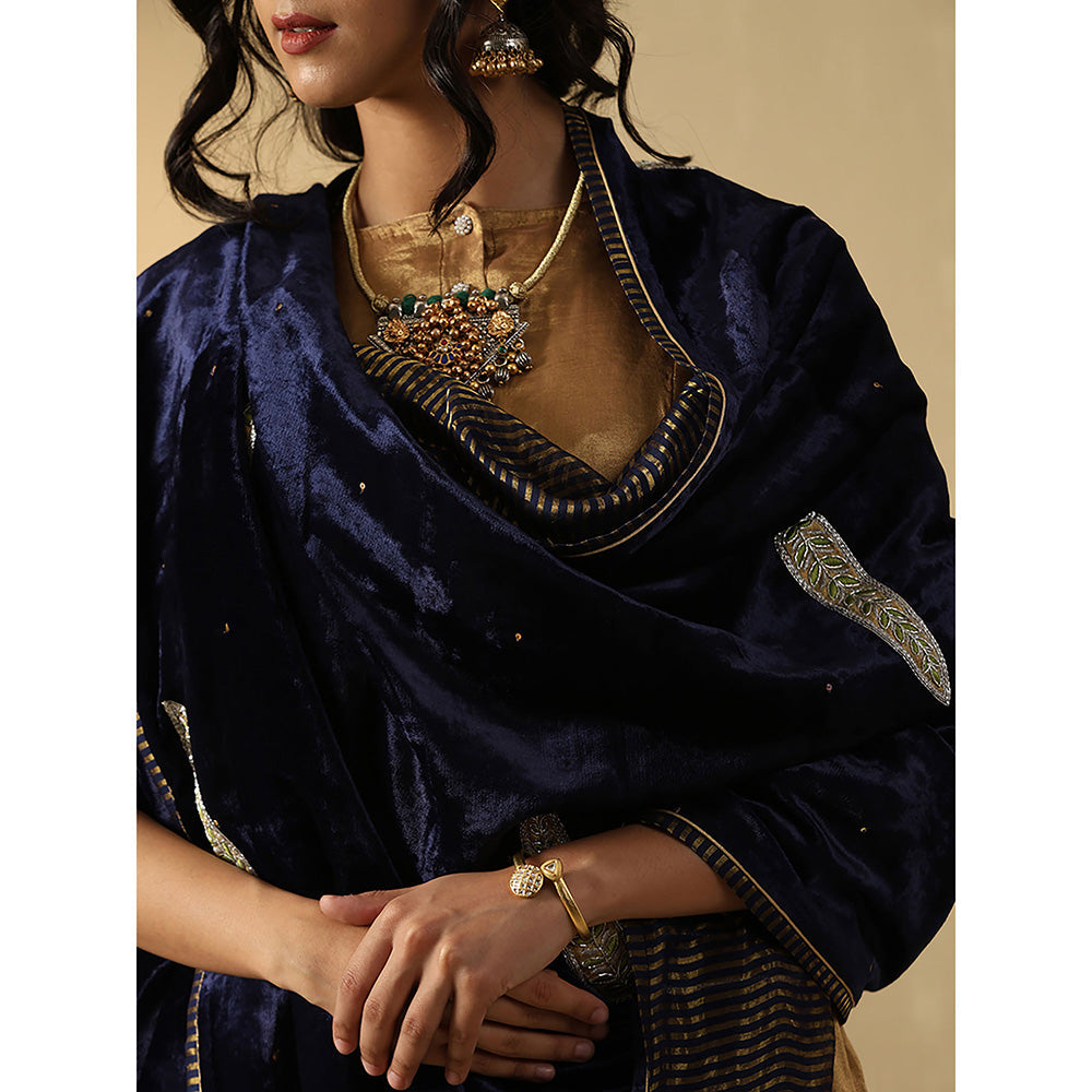WeaverStory Navy Blue Embroidered Zardozi Dupatta