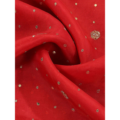 WeaverStory Red Embroidery Dupatta