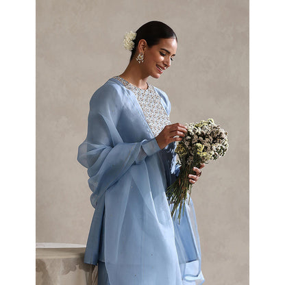 WeaverStory Chanderi Light Blue Embroidered Kurta with Palazzo and Dupatta (Set of 3)