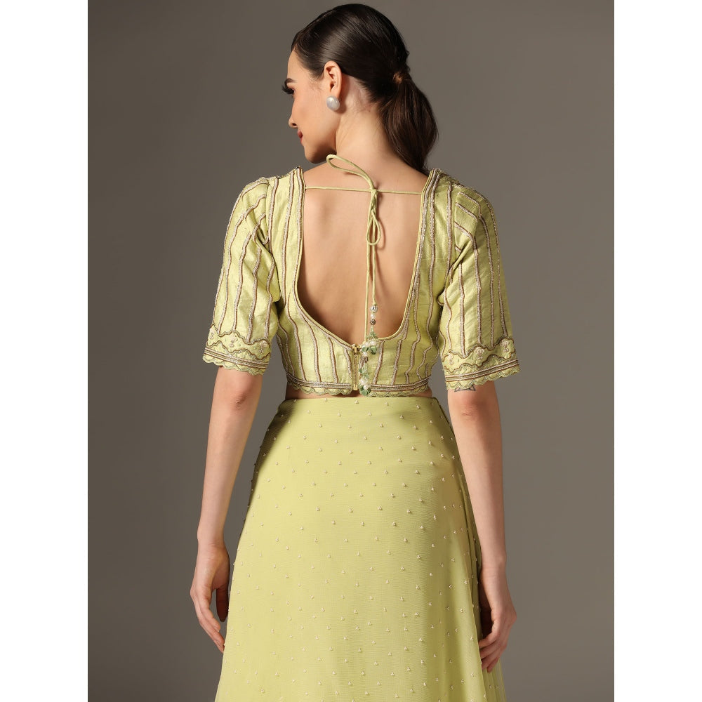 YASHODHARA Jade Chiffon Mughal Sequined Blouse with Saree