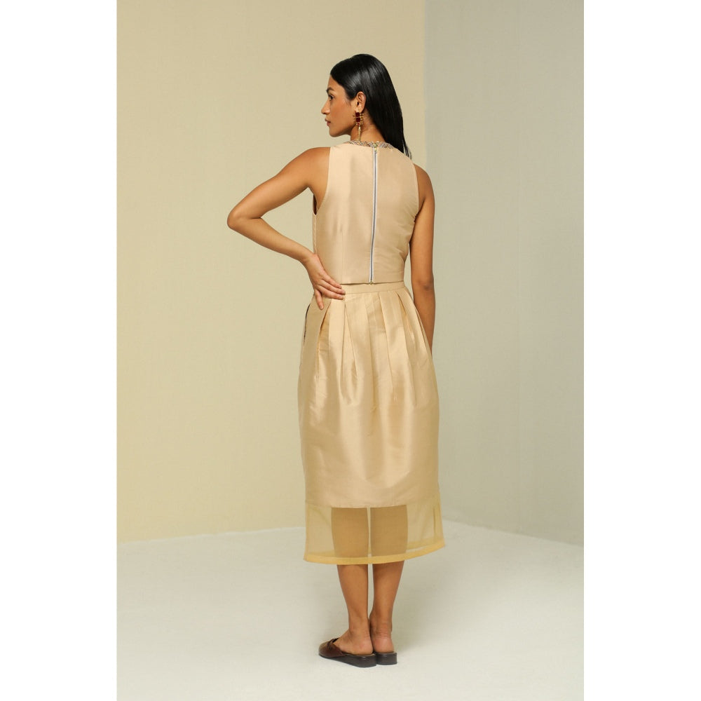 Zaitra Gold Crop Top