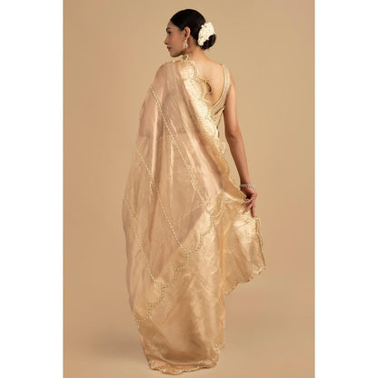 Zal from Benaras Golden Pure Tissue Silk Banarasi Hand Embroidered Saree without Blouse