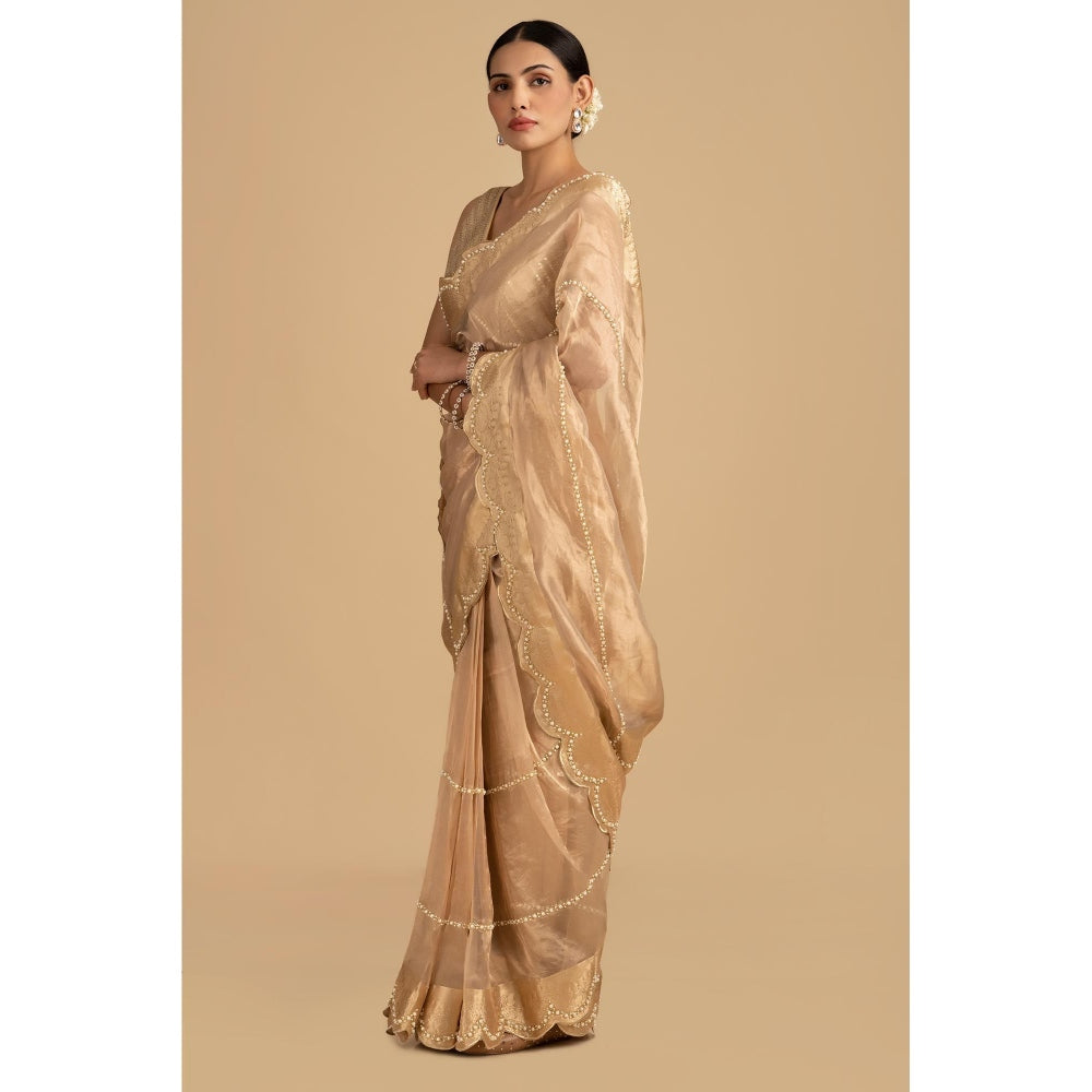 Zal from Benaras Golden Pure Tissue Silk Banarasi Hand Embroidered Saree without Blouse