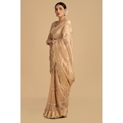 Zal from Benaras Golden Pure Tissue Silk Banarasi Hand Embroidered Saree without Blouse