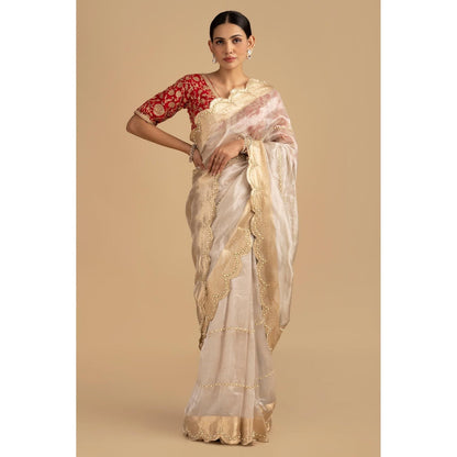 Zal from Benaras Silver Pure Tissue Silk Banarasi Hand Embroidered Saree without Blouse