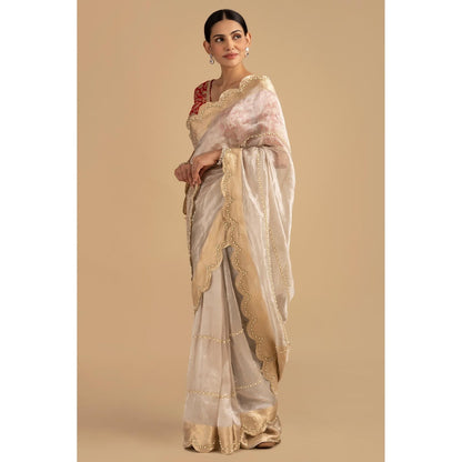 Zal from Benaras Silver Pure Tissue Silk Banarasi Hand Embroidered Saree without Blouse