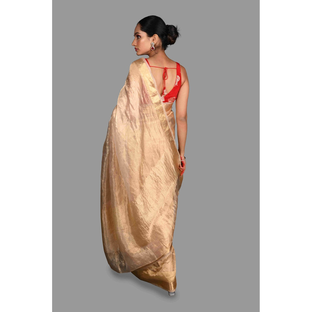 Zal from Benaras Golden Plain Pure Tissue Silk Banarasi Handloom Saree without Blouse