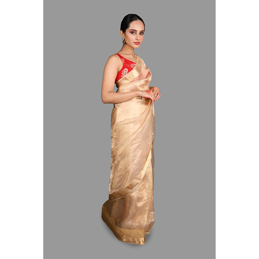 Zal from Benaras Golden Plain Pure Tissue Silk Banarasi Handloom Saree without Blouse