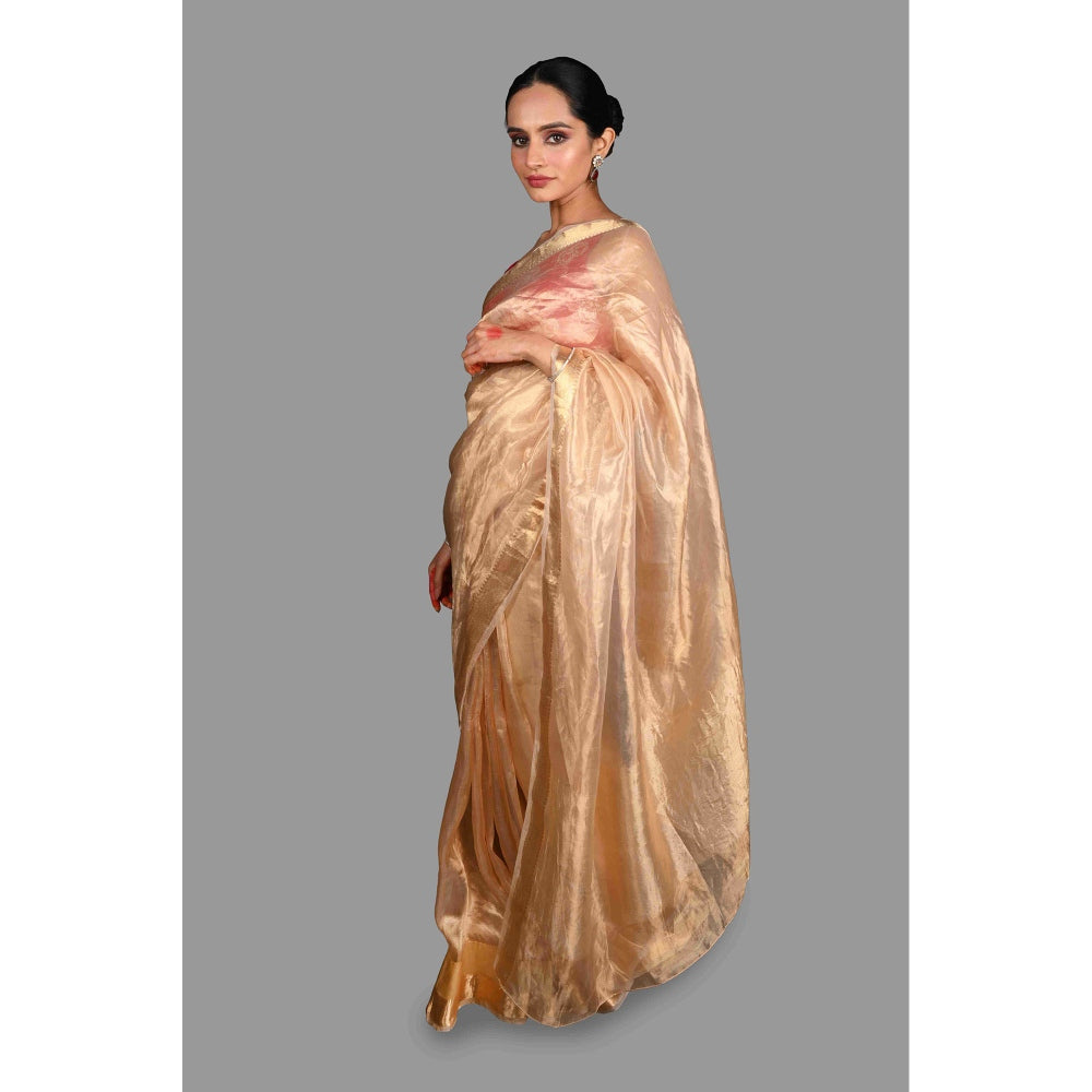 Zal from Benaras Golden Plain Pure Tissue Silk Banarasi Handloom Saree without Blouse