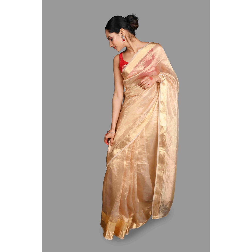 Zal from Benaras Golden Plain Pure Tissue Silk Banarasi Handloom Saree without Blouse