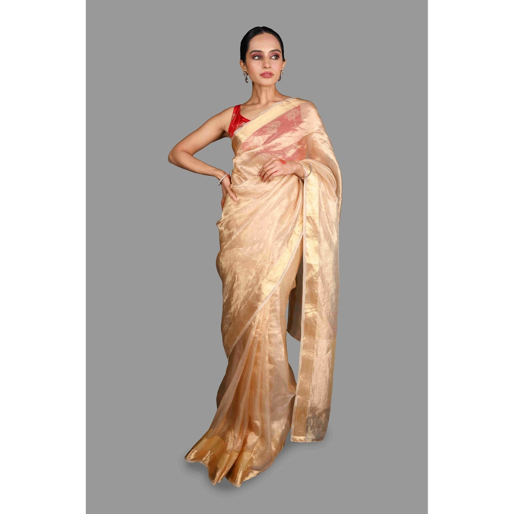 Zal from Benaras Golden Plain Pure Tissue Silk Banarasi Handloom Saree without Blouse