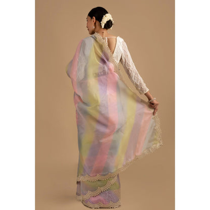 Zal from Benaras Pastel Multicoloured Pearl Handwork Saree with Stitched Blouse