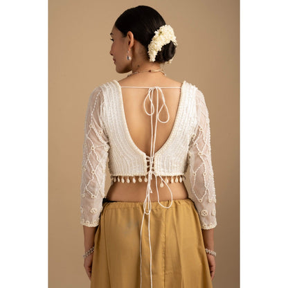 Zal from Benaras Pastel Multicoloured Pearl Handwork Saree with Stitched Blouse