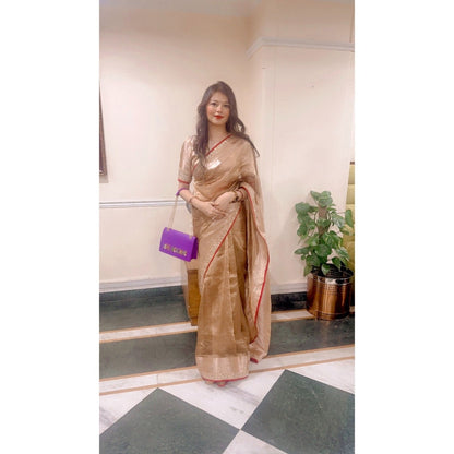 Zal from Benaras Copper Shaded Pure Tissue Silk Banarasi Handloom Saree with Stitched Blouse