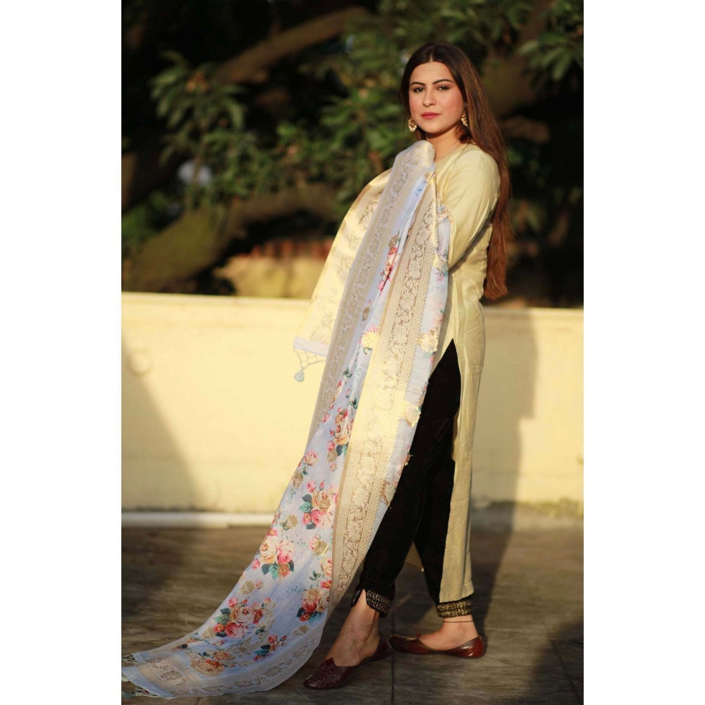 Zal from Benaras Blue Pure Silk Banarasi Handloom Dupatta