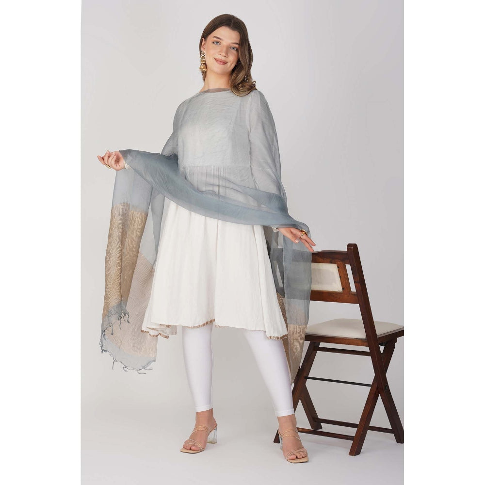 Zal from Benaras Blue Pure Crushed Tissue Silk Banarasi Handloom Dupatta