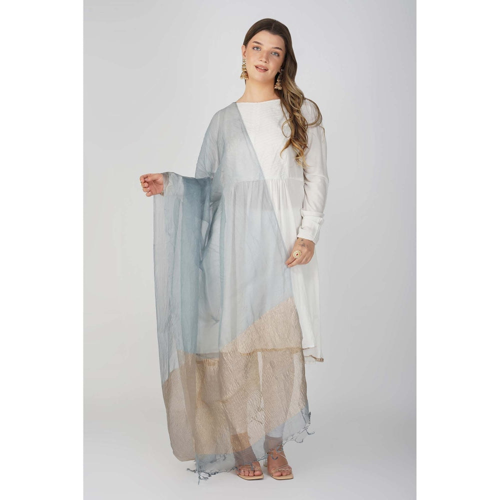 Zal from Benaras Blue Pure Crushed Tissue Silk Banarasi Handloom Dupatta