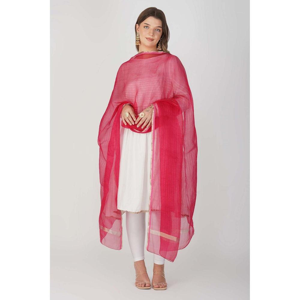 Zal from Benaras Hot Pink Zari Lining Pure Organza Silk Banarasi Handloom Dupatta