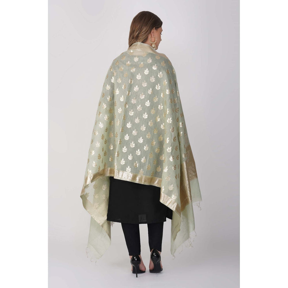 Zal from Benaras Sage Green Pure Linen Banarasi Handloom Dupatta