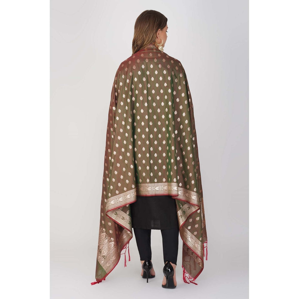 Zal from Benaras Olive Pure Silk Banarasi Handloom Saree without Blouse