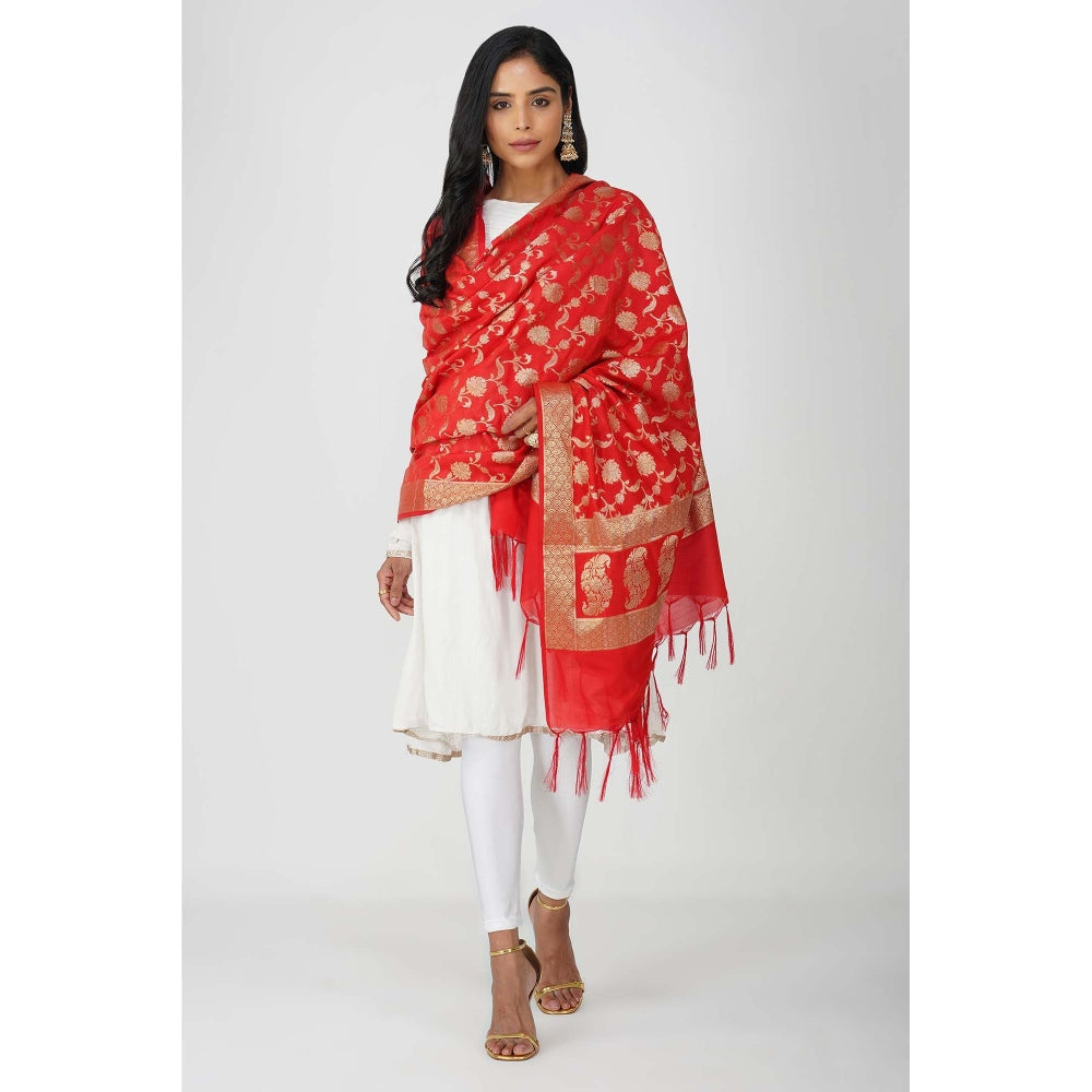 Zal from Benaras Red Pure Silk Banarasi Jangle Work Handloom Dupatta
