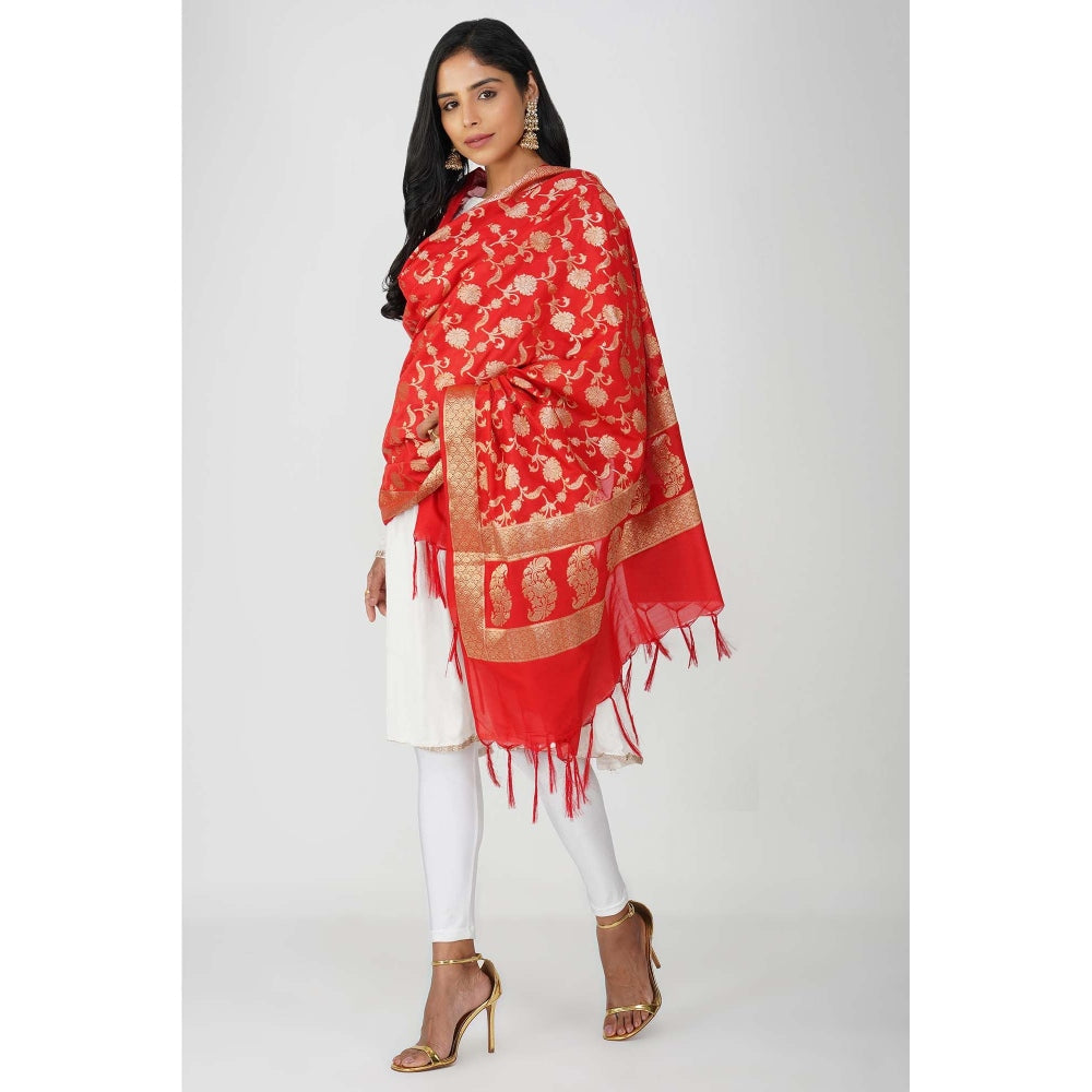 Zal from Benaras Red Pure Silk Banarasi Jangle Work Handloom Dupatta