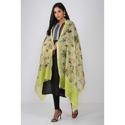 Zal from Benaras Green Pure Silk Floral Print Banarasi Handloom Dupatta