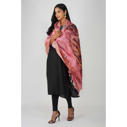 Zal from Benaras Kashi Ghat Printed Pink Pure Silk Banarasi Handloom Dupatta