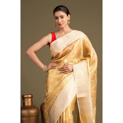 Zal from Benaras Golden Pure Katan Tissue Silk Banarasi Handloom Saree without Blouse Piece