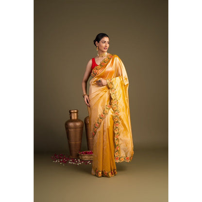 Zal from Benaras Orange Pure Tissue Silk Hand Embroidered Saree without Blouse Piece