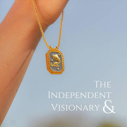 ZARIIN Aquarius Zodiac Tablet Reversible Necklace With Amethyst