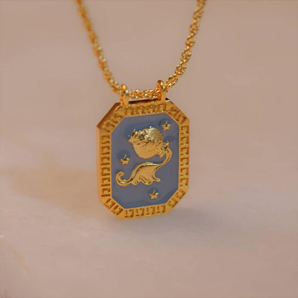 ZARIIN Aquarius Zodiac Tablet Reversible Necklace With Amethyst
