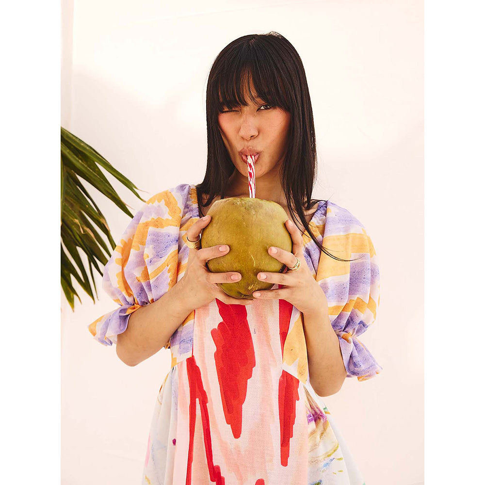 Zip by Payal & Zinal Palette Play Dress