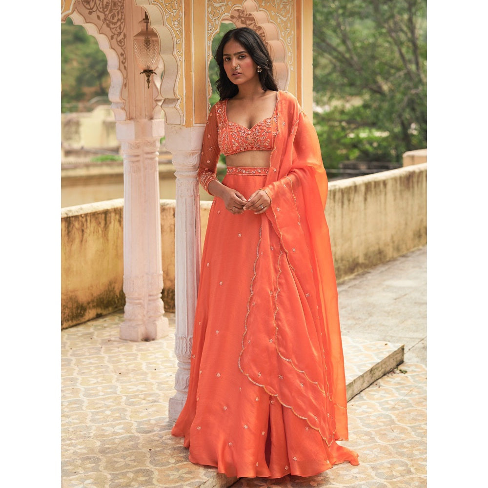 Zoon An Orange Embellished-Sequined Lehenga with Blouse and Dupatta (Set of 3)