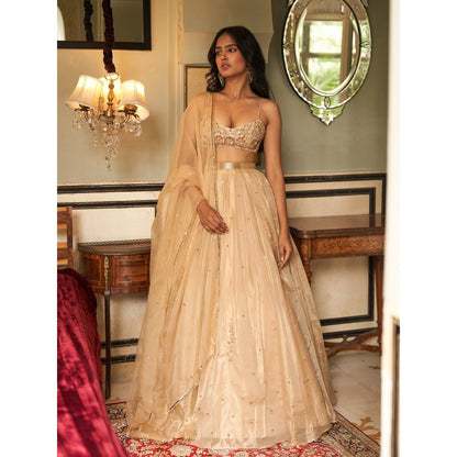 Zoon Golden Embroidered- Sequined Pleated Lehenga with Blouse and Dupatta (Set of 3)