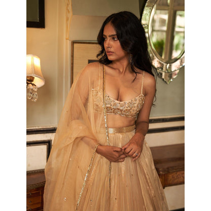 Zoon Golden Embroidered- Sequined Pleated Lehenga with Blouse and Dupatta (Set of 3)