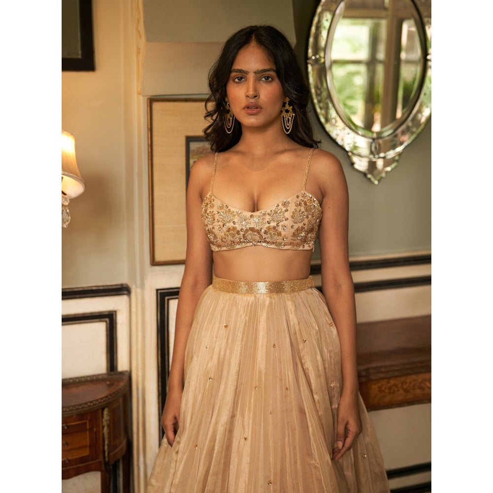 Zoon Golden Embroidered- Sequined Pleated Lehenga with Blouse and Dupatta (Set of 3)