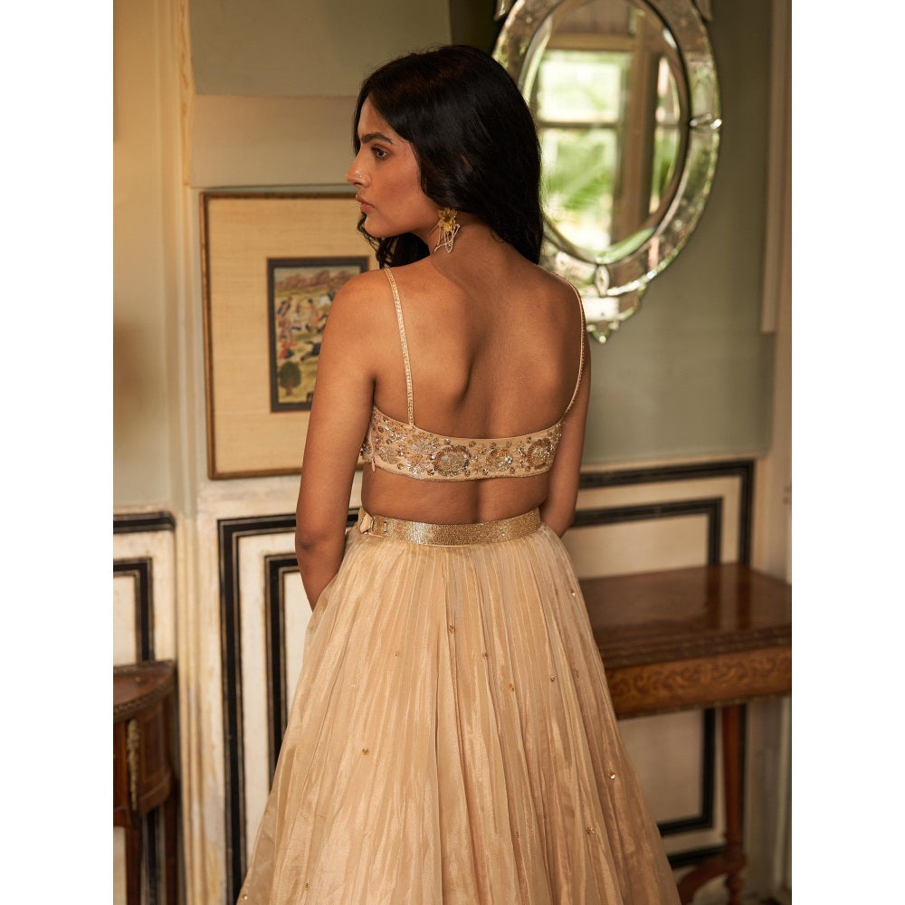 Zoon Golden Embroidered- Sequined Pleated Lehenga with Blouse and Dupatta (Set of 3)