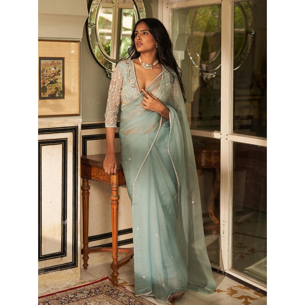 Zoon Mint Green Embroidered Saree with A Heavy Sequined Stitched Blouse