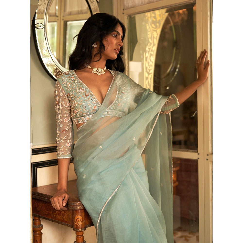 Zoon Mint Green Embroidered Saree with A Heavy Sequined Stitched Blouse