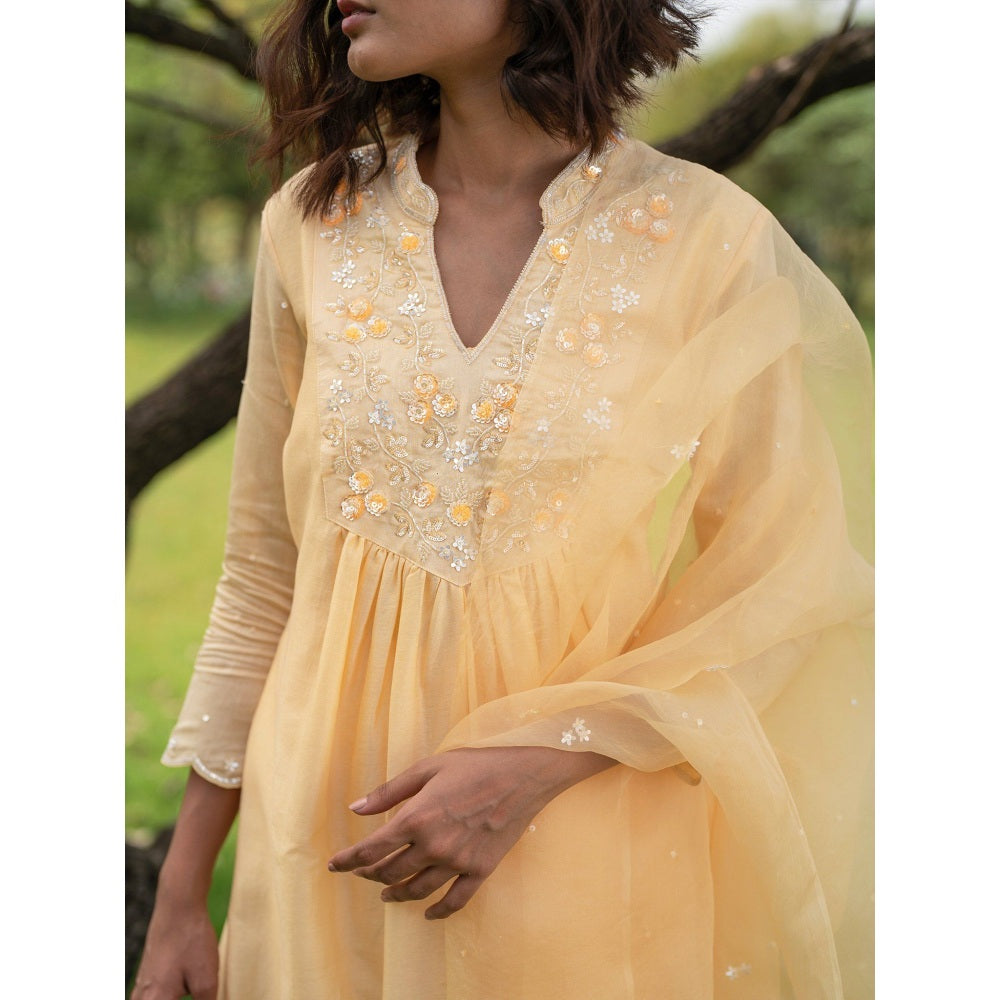 Zoon Yellow Embroidered-Sequined Kurta with Pant and Dupatta (Set of 3)