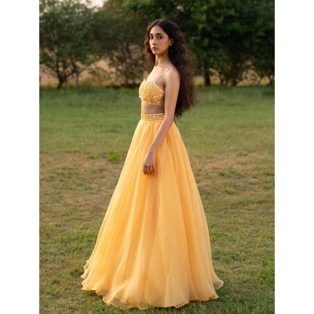 Zoon A Yellow Embroidered- Sequined Lehenga with Blouse and Dupatta (Set of 3)